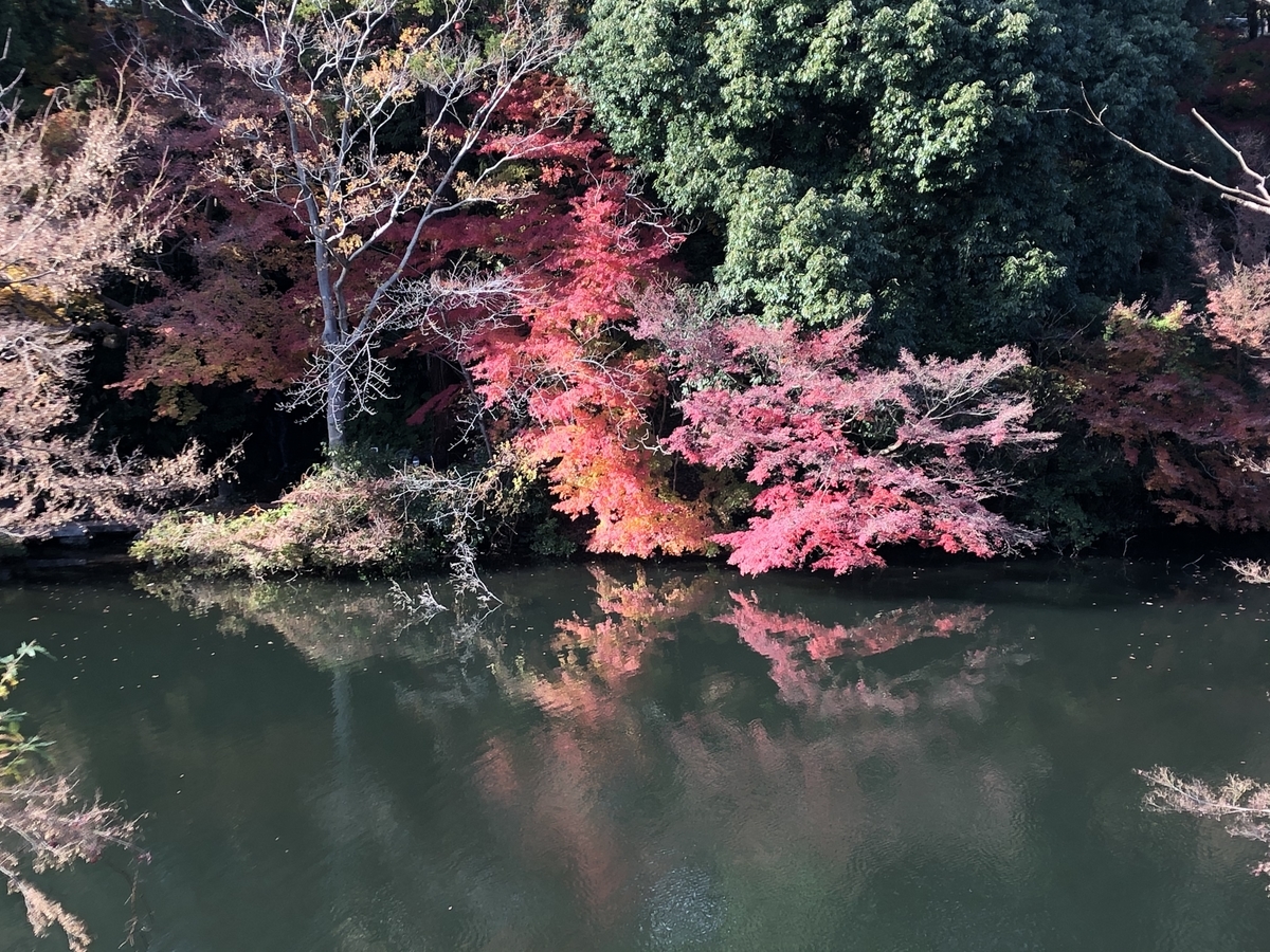 f:id:yamanouta:20191130161535j:plain