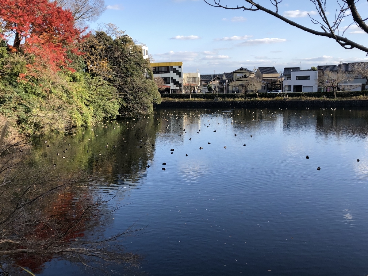 f:id:yamanouta:20191130161632j:plain