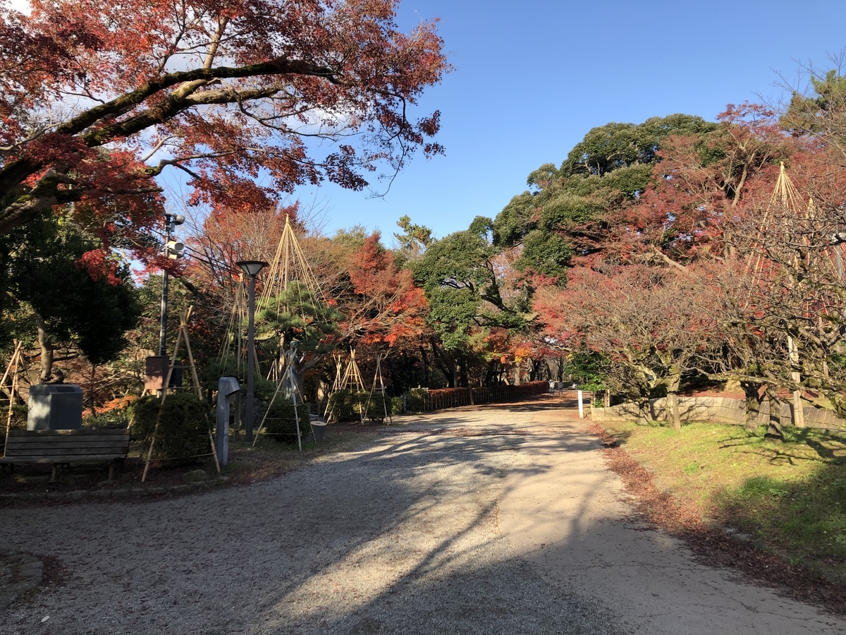 f:id:yamanouta:20191130161808j:plain