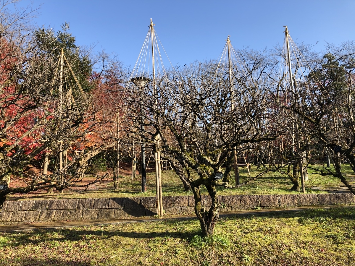 f:id:yamanouta:20191130161831j:plain