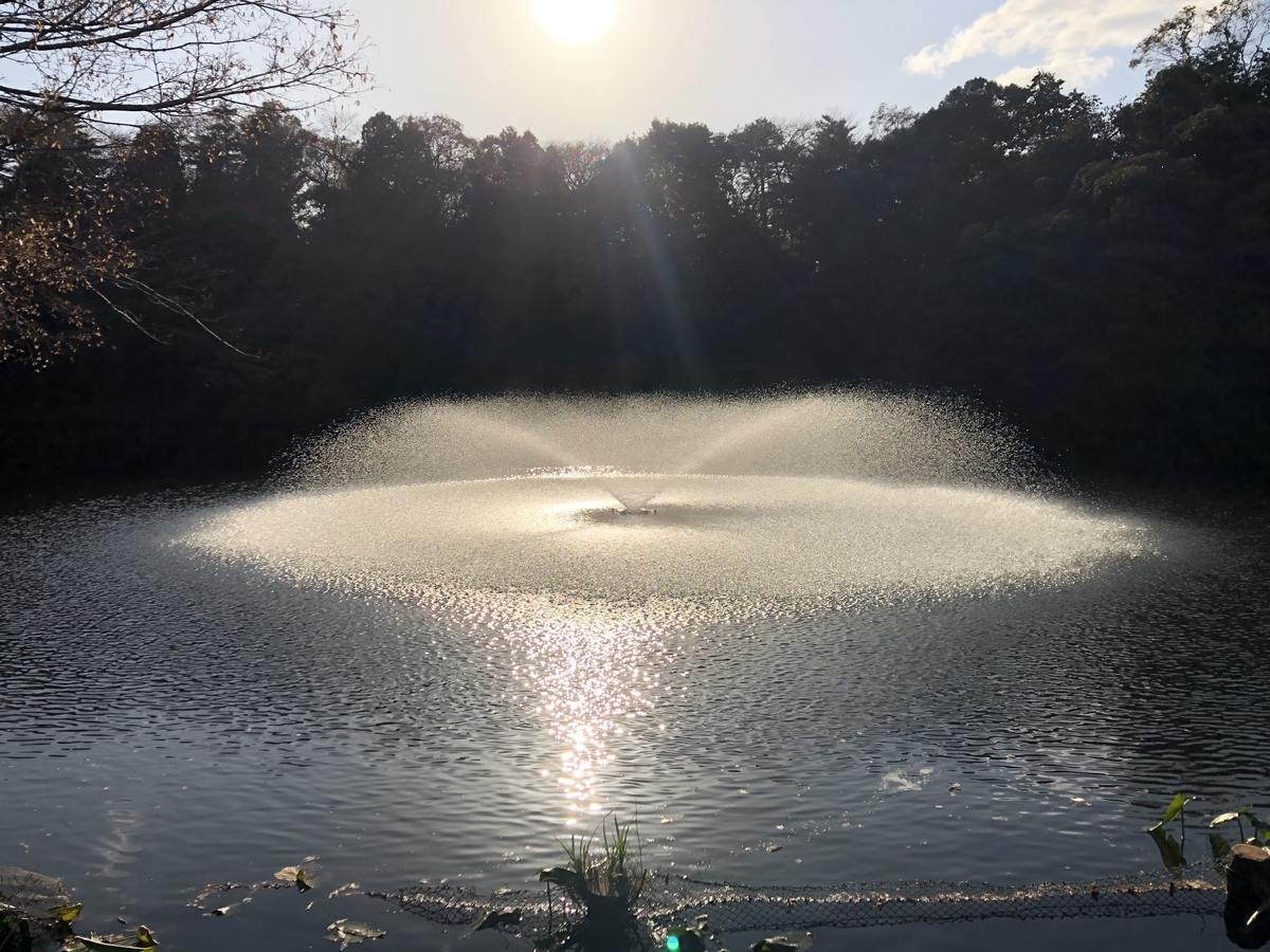 f:id:yamanouta:20191130161915j:plain