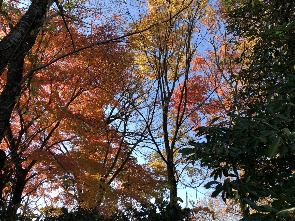 f:id:yamanouta:20191209153436j:plain f:id:yamanouta:20191209153436j:plain