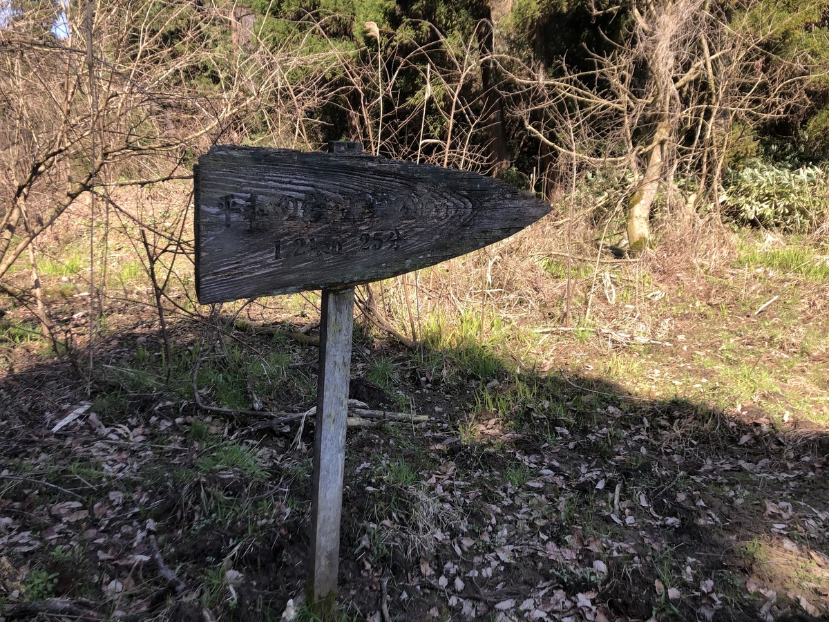 f:id:yamanouta:20200323164724j:plain