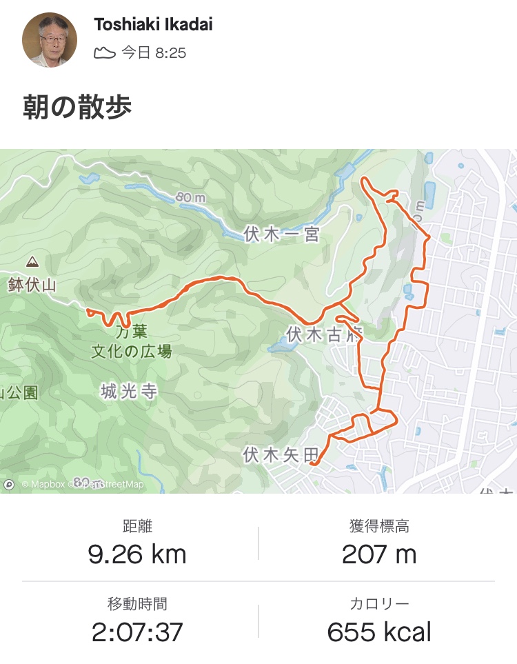 f:id:yamanouta:20200618123931j:plain
