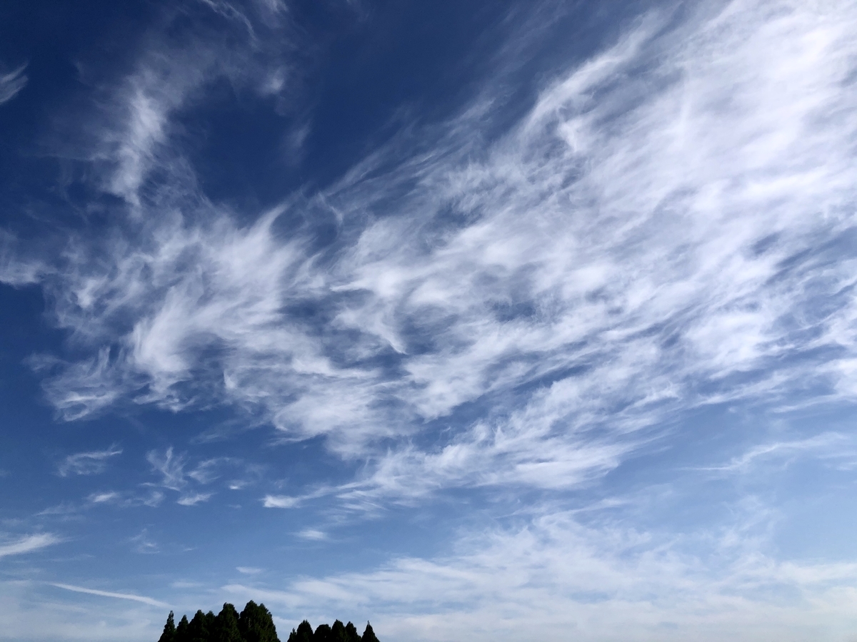 f:id:yamanouta:20201027090959j:plain