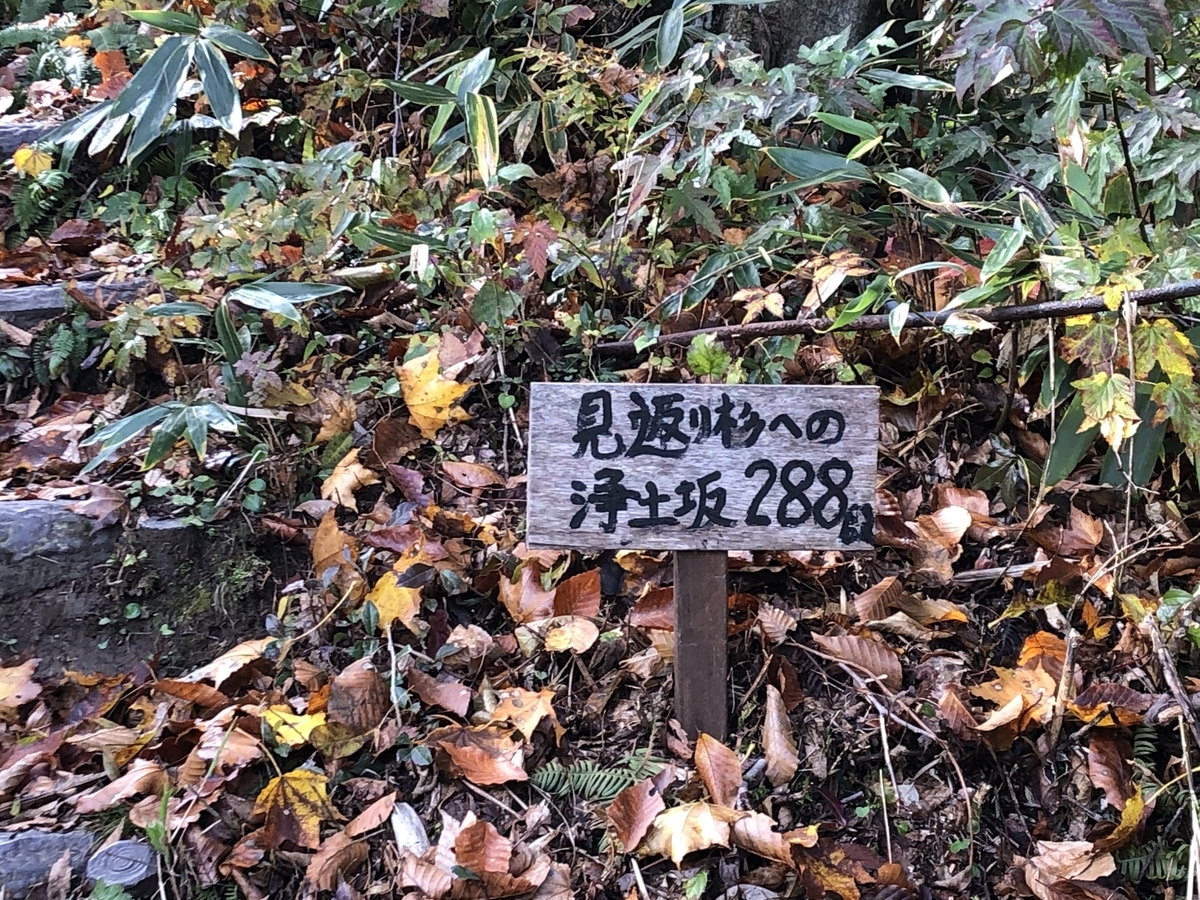 f:id:yamanouta:20201029185140j:plain