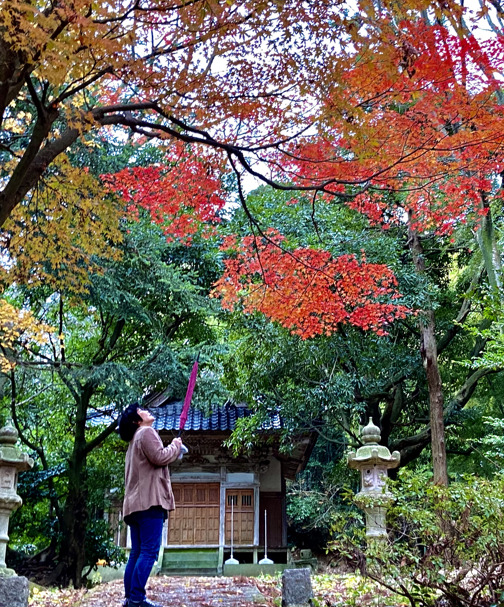 f:id:yamanouta:20201206122557j:plain