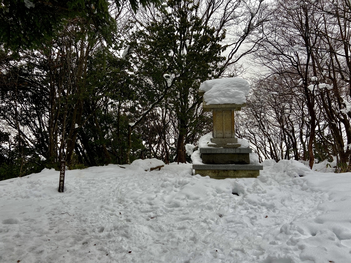f:id:yamanouta:20210104195624j:plain