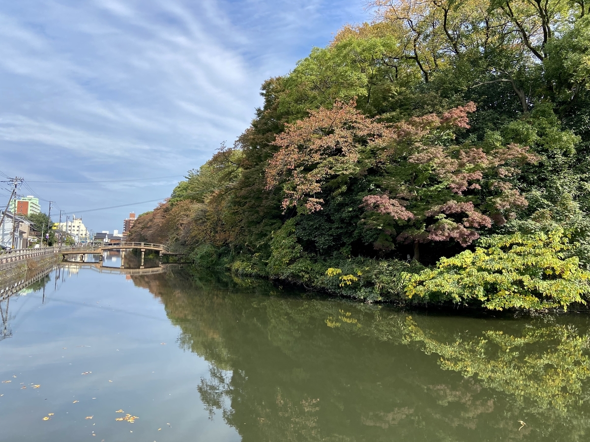 f:id:yamanouta:20211101150928j:plain