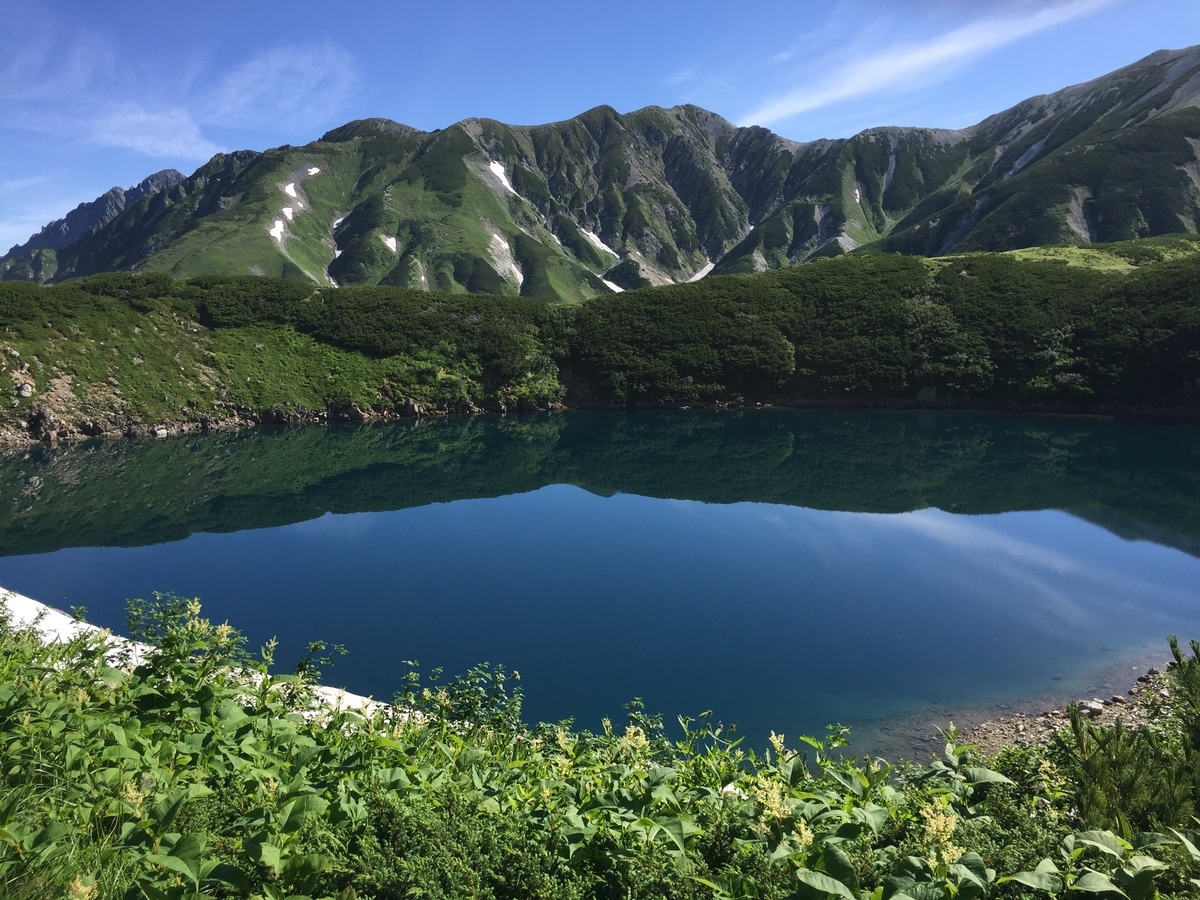 f:id:yamanoyakkyoku:20190812213432j:plain f:id:yamanoyakkyoku:20190812213432j:plain