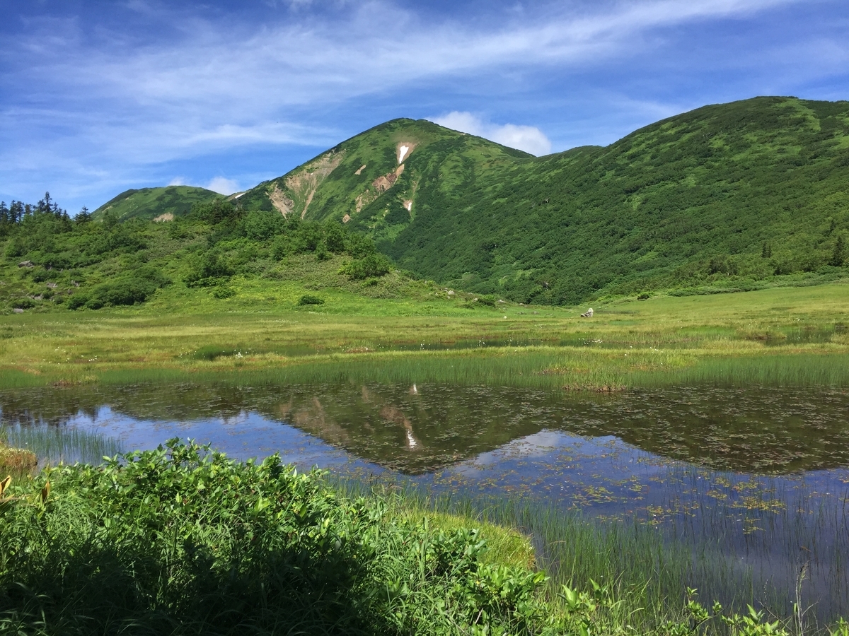 f:id:yamanoyakkyoku:20190815105237j:plain f:id:yamanoyakkyoku:20190815105237j:plain