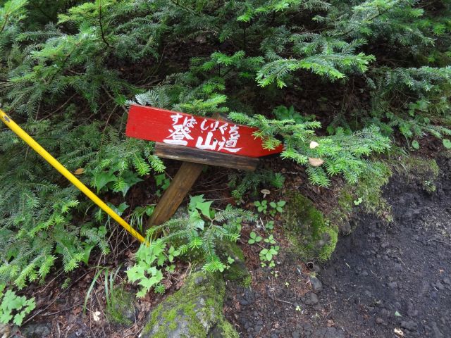 f:id:yamanoyeahman:20161018230638j:plain