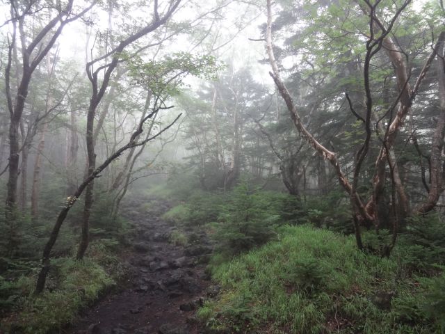 f:id:yamanoyeahman:20161018230712j:plain f:id:yamanoyeahman:20161018230712j:plain