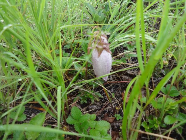 f:id:yamanoyeahman:20161018230924j:plain f:id:yamanoyeahman:20161018230924j:plain