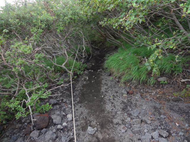 f:id:yamanoyeahman:20161018232728j:plain f:id:yamanoyeahman:20161018232728j:plain