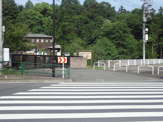 f:id:yamanoyeahman:20161018234912j:plain