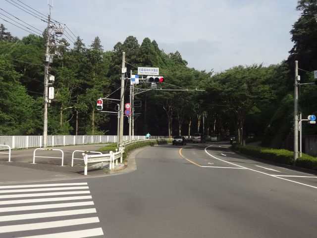 f:id:yamanoyeahman:20161018234942j:plain