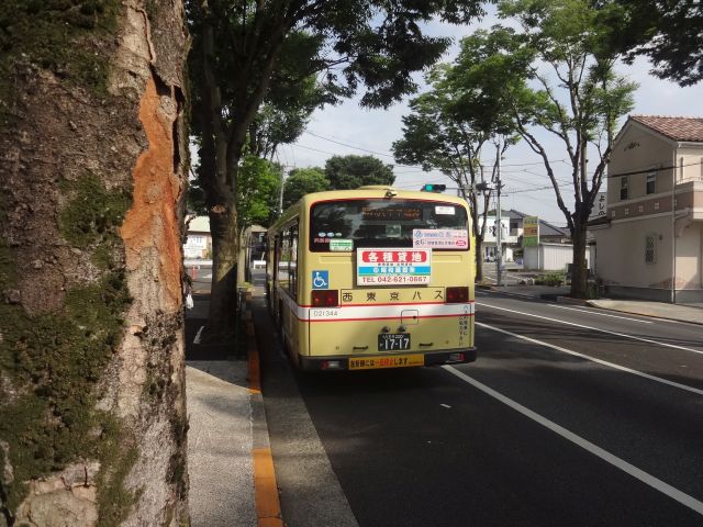 f:id:yamanoyeahman:20161018235010j:plain