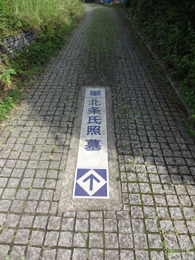 f:id:yamanoyeahman:20161018235043j:plain