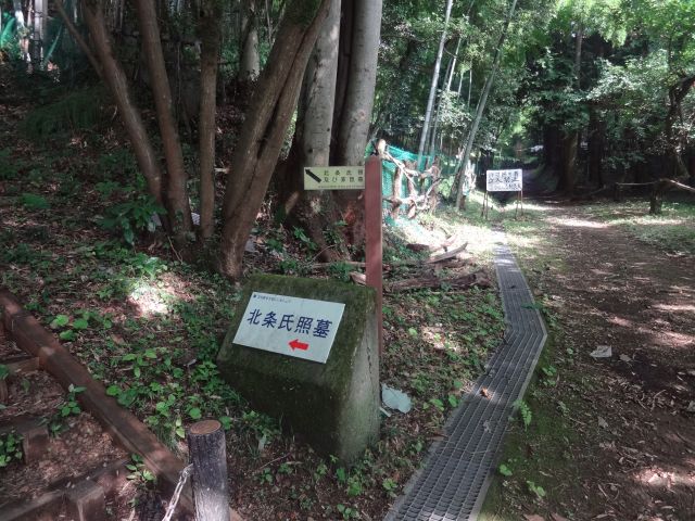 f:id:yamanoyeahman:20161018235114j:plain