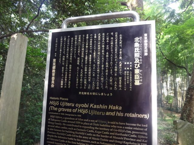 f:id:yamanoyeahman:20161018235216j:plain