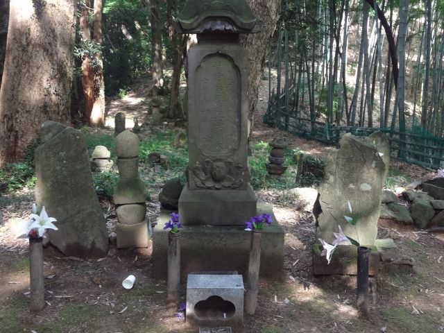 f:id:yamanoyeahman:20161018235227j:plain