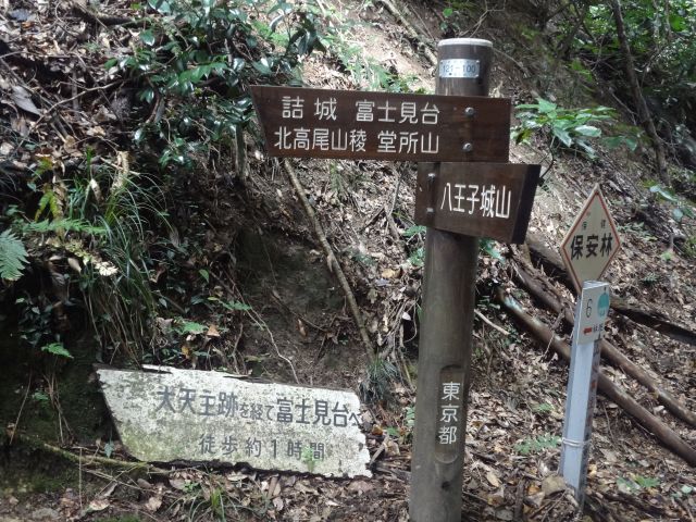 f:id:yamanoyeahman:20161018235539j:plain