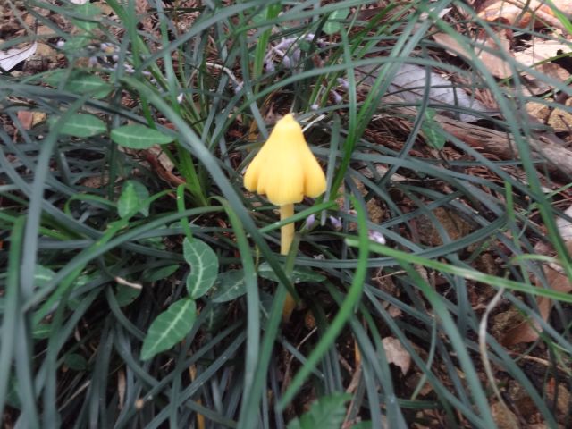 f:id:yamanoyeahman:20161018235612j:plain