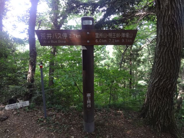 f:id:yamanoyeahman:20161018235651j:plain