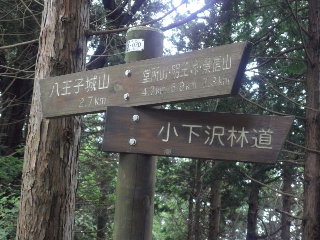 f:id:yamanoyeahman:20161019000146j:plain