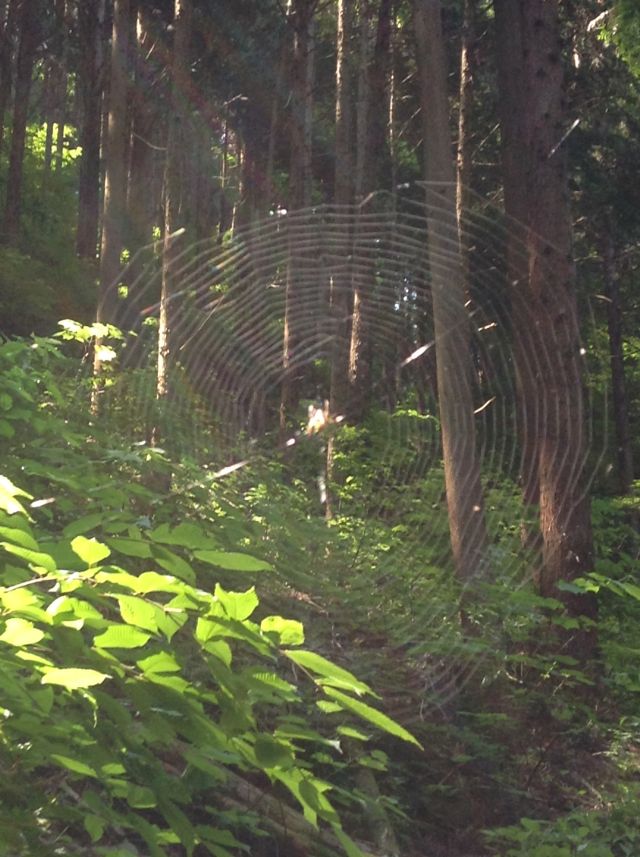 f:id:yamanoyeahman:20161019190254j:plain