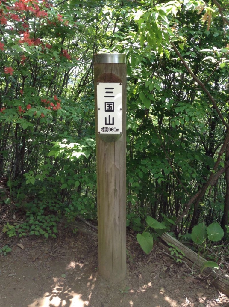 f:id:yamanoyeahman:20161019190622j:plain