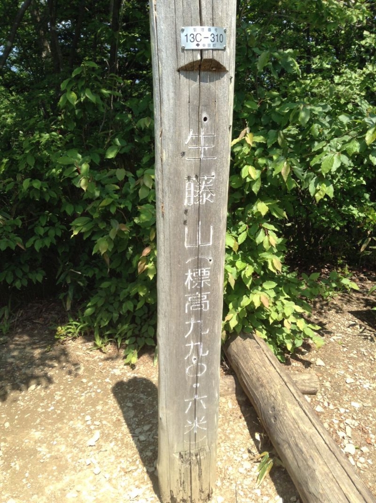 f:id:yamanoyeahman:20161019190702j:plain