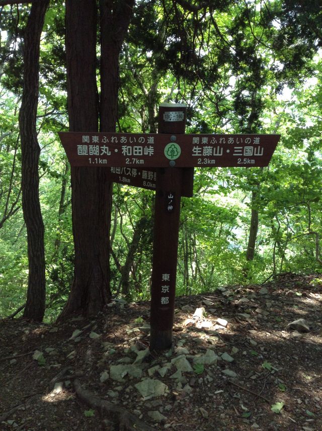 f:id:yamanoyeahman:20161019190909j:plain