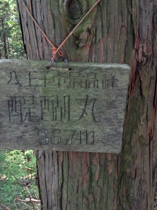 f:id:yamanoyeahman:20161019190944j:plain