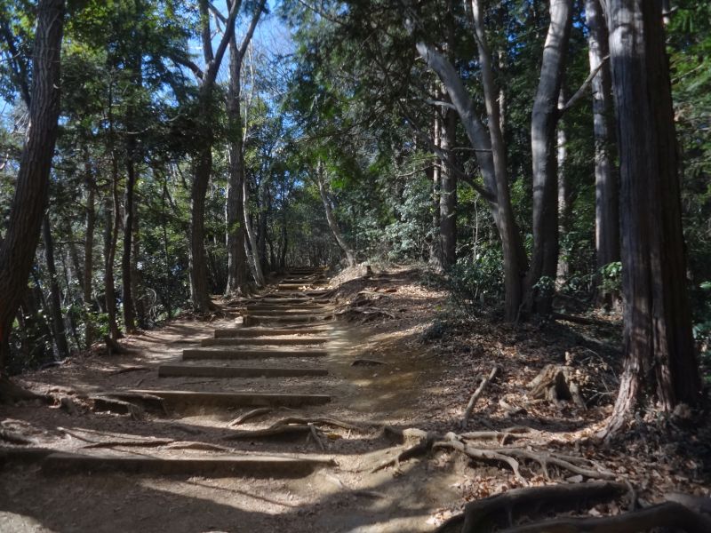 f:id:yamanoyeahman:20170207113039j:plain