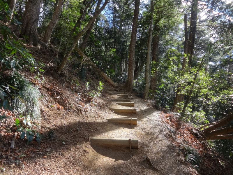 f:id:yamanoyeahman:20170207113656j:plain