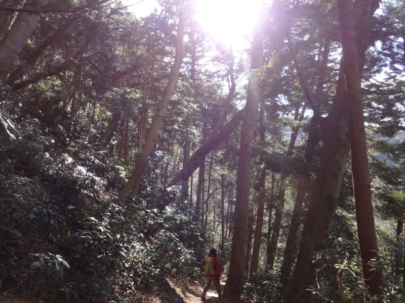 f:id:yamanoyeahman:20170207113731j:plain