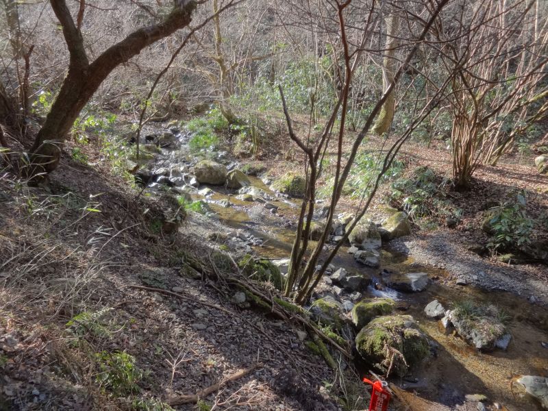 f:id:yamanoyeahman:20170207114004j:plain