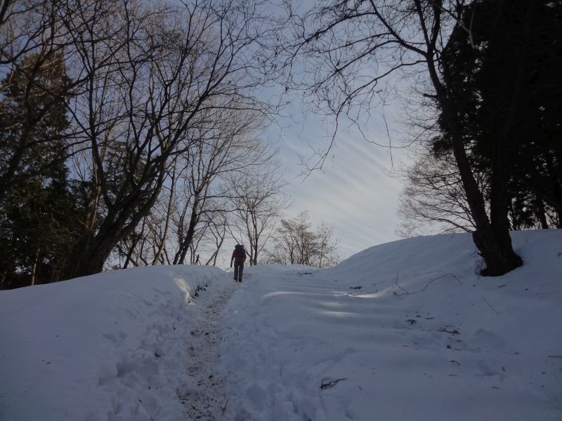 f:id:yamanoyeahman:20180130001547j:plain