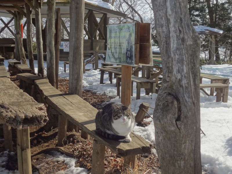 f:id:yamanoyeahman:20180130001626j:plain