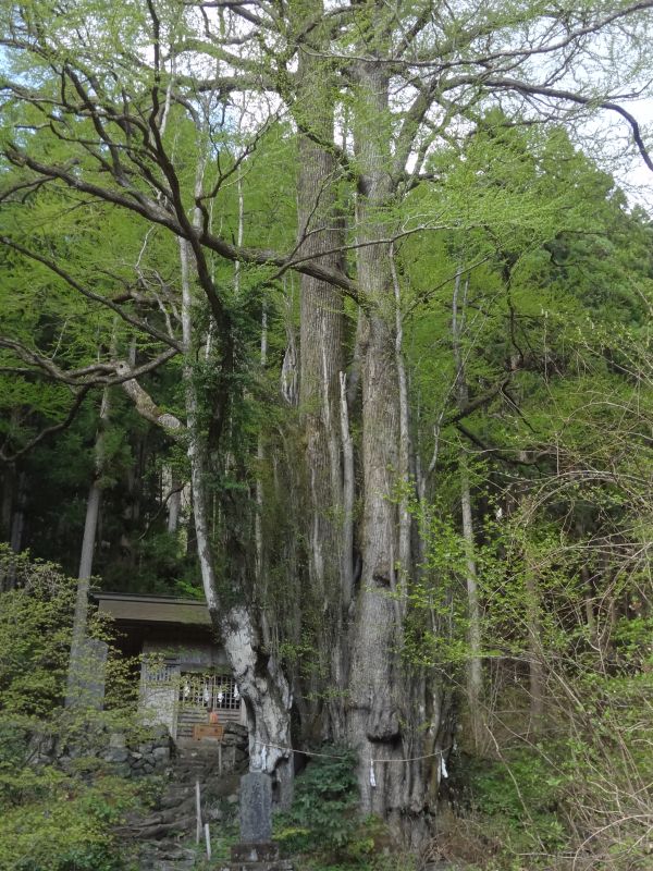 f:id:yamanoyeahman:20180409133556j:plain