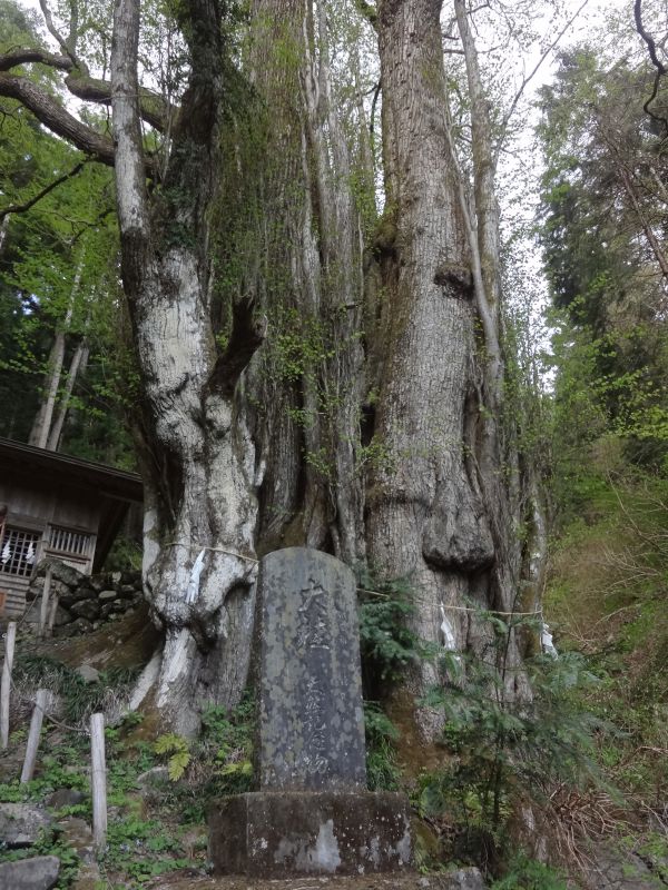 f:id:yamanoyeahman:20180409133601j:plain