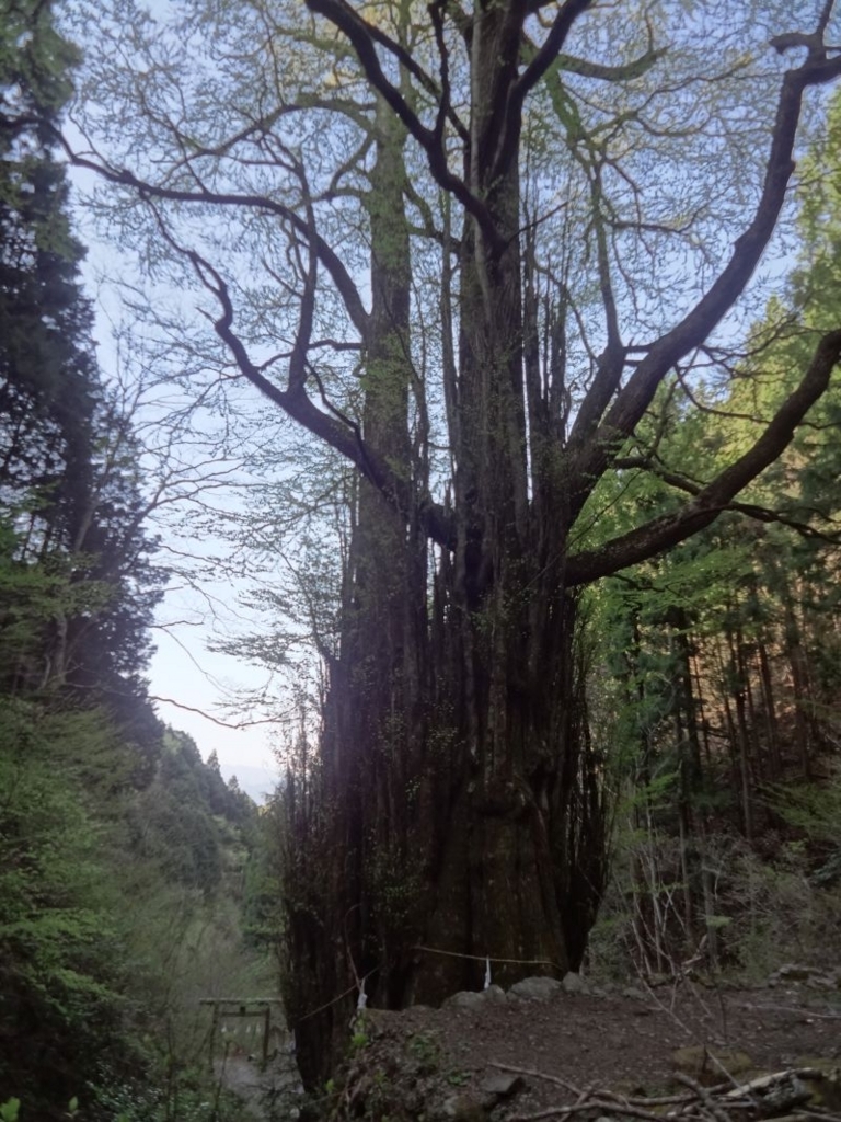 f:id:yamanoyeahman:20180409133718j:plain