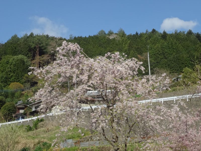 f:id:yamanoyeahman:20180409134554j:plain