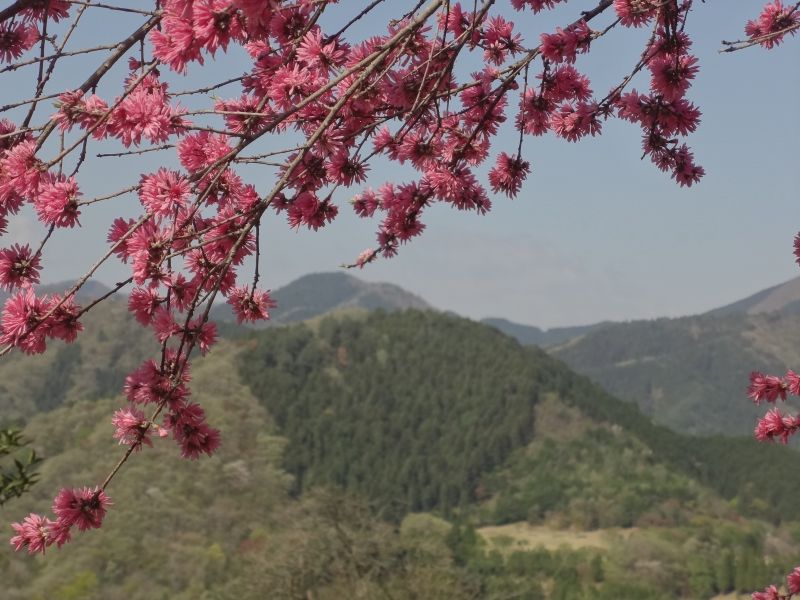 f:id:yamanoyeahman:20180409134601j:plain