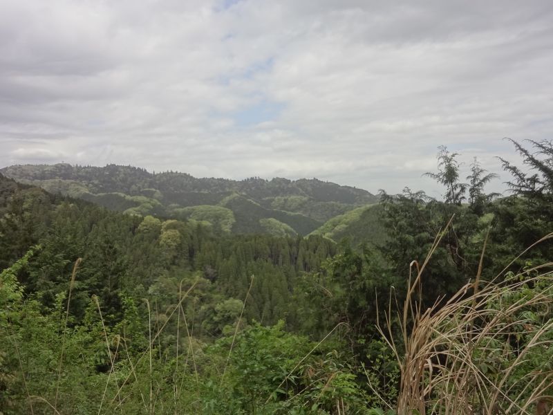 f:id:yamanoyeahman:20180416225245j:plain