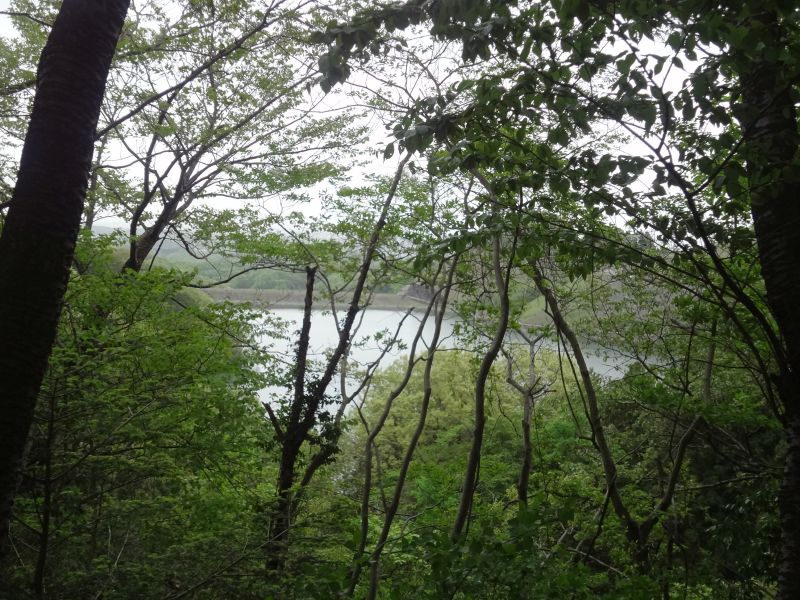 f:id:yamanoyeahman:20180416225827j:plain