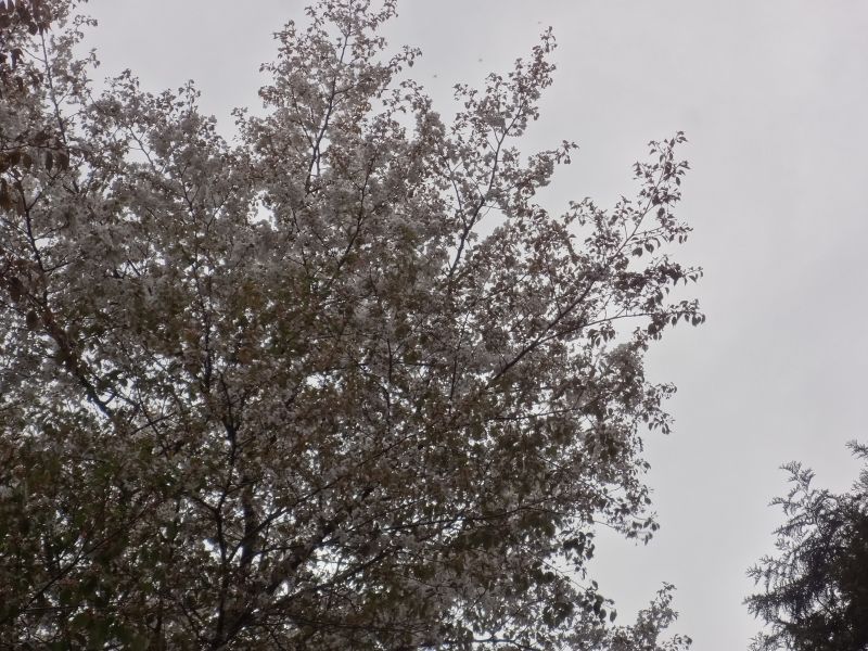 f:id:yamanoyeahman:20180416230230j:plain