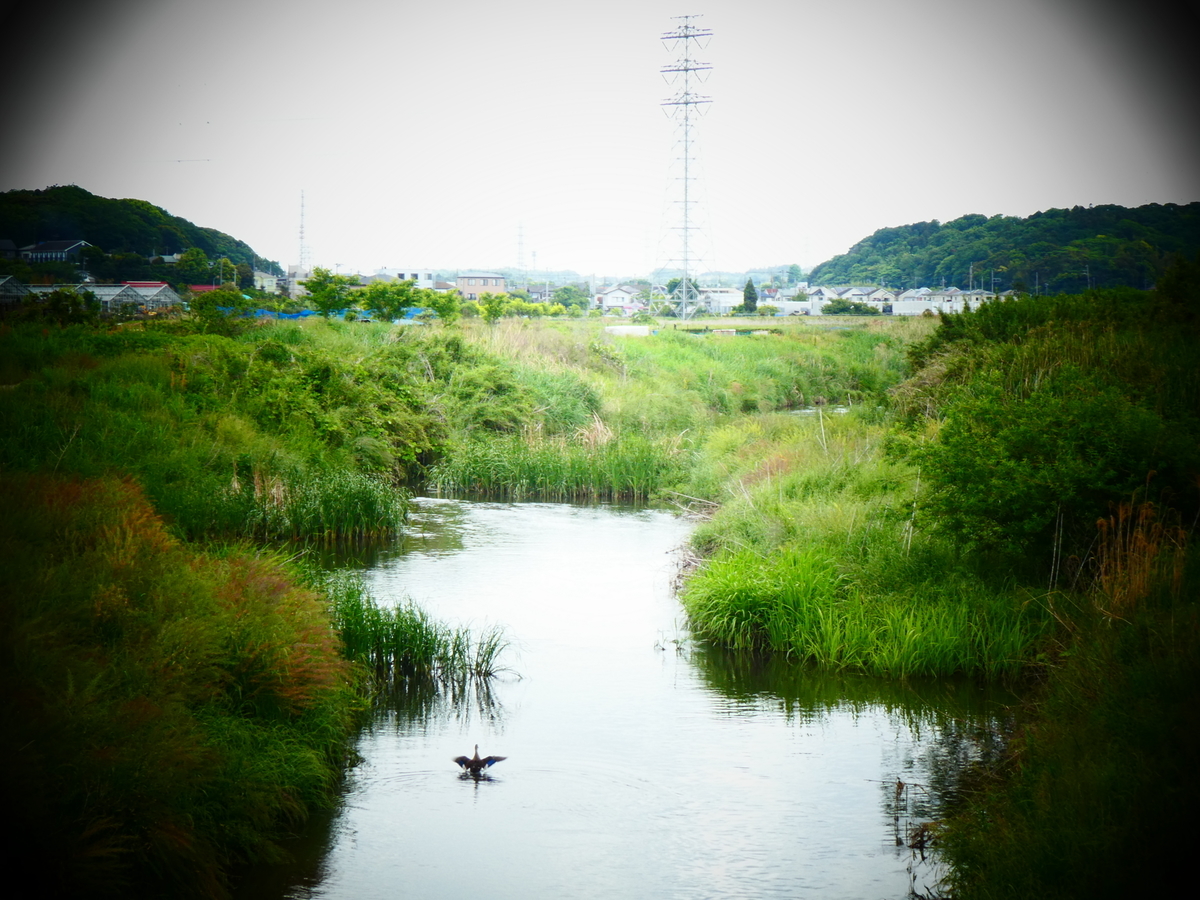 f:id:yamaokayama:20191221182310j:plain